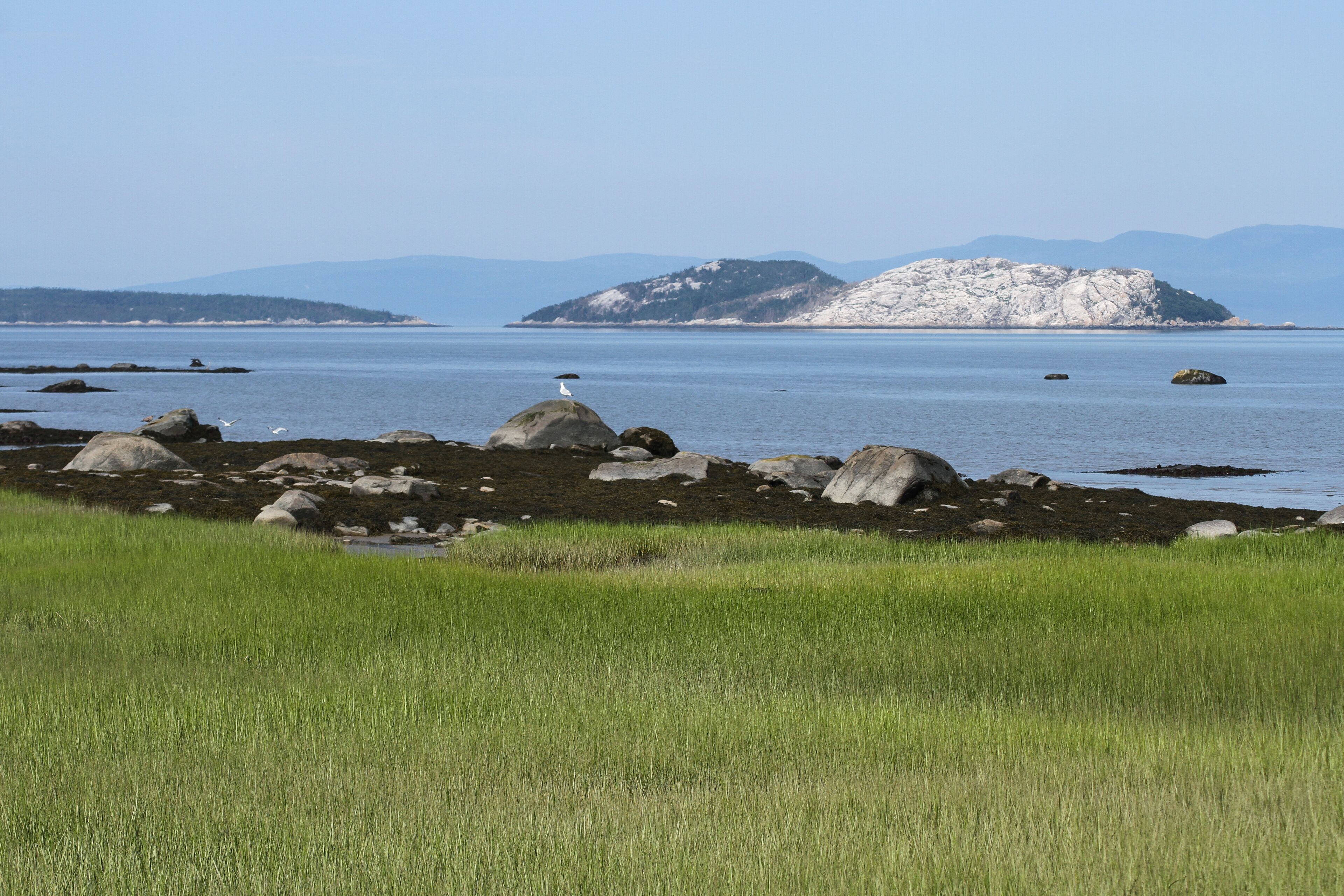 Gros Pelerin island from Notre-Dame-du-Portage, Quebec, Canada. île Gros Pèlerin face à Notre-Dame-du-Portage au bas saint laurent