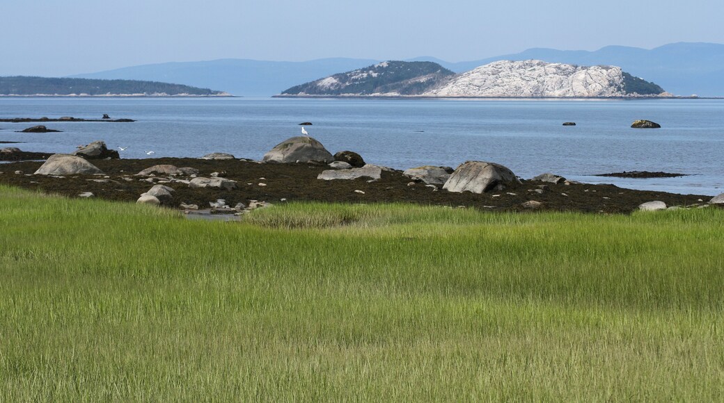 Gros Pelerin island from Notre-Dame-du-Portage, Quebec, Canada. île Gros Pèlerin face à Notre-Dame-du-Portage au bas saint laurent