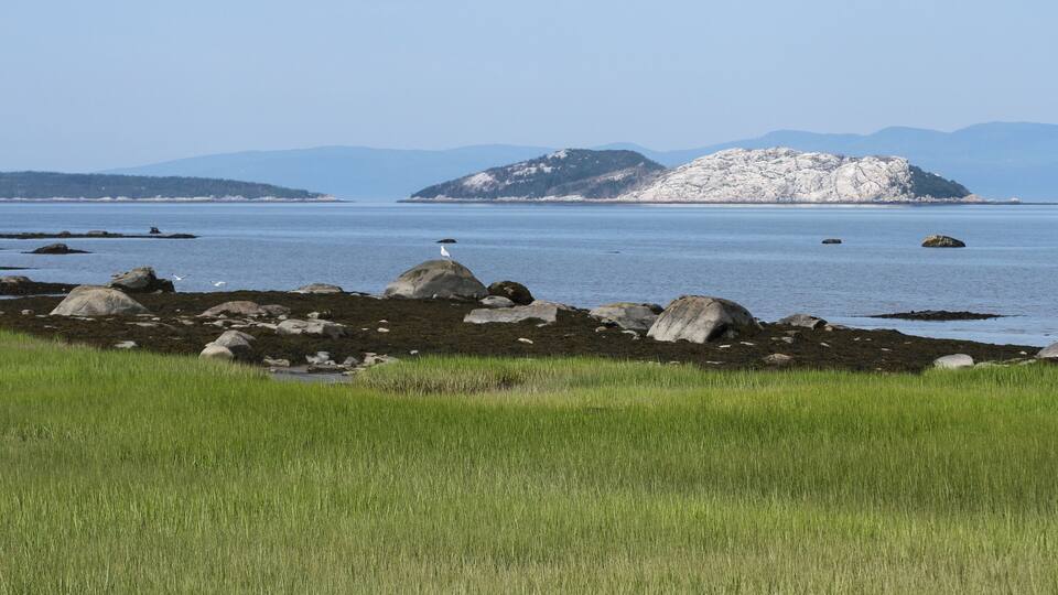 A coastal landscape with a rocky shoreline, green grass, and a distant snow-capped mountain.
