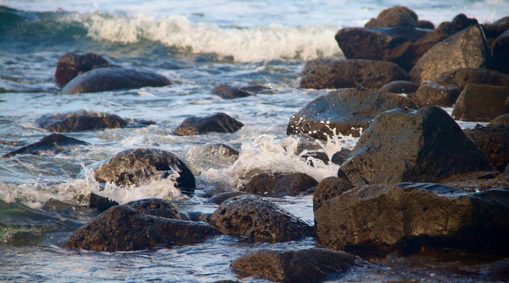 Onekahakaha Beach Park which includes rugged coastline