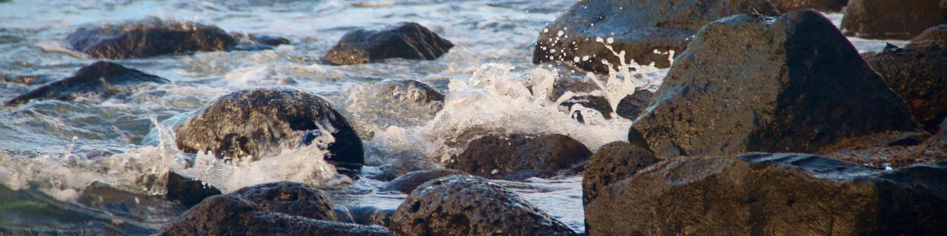 Parque playa Onekahakaha que incluye costa rocosa