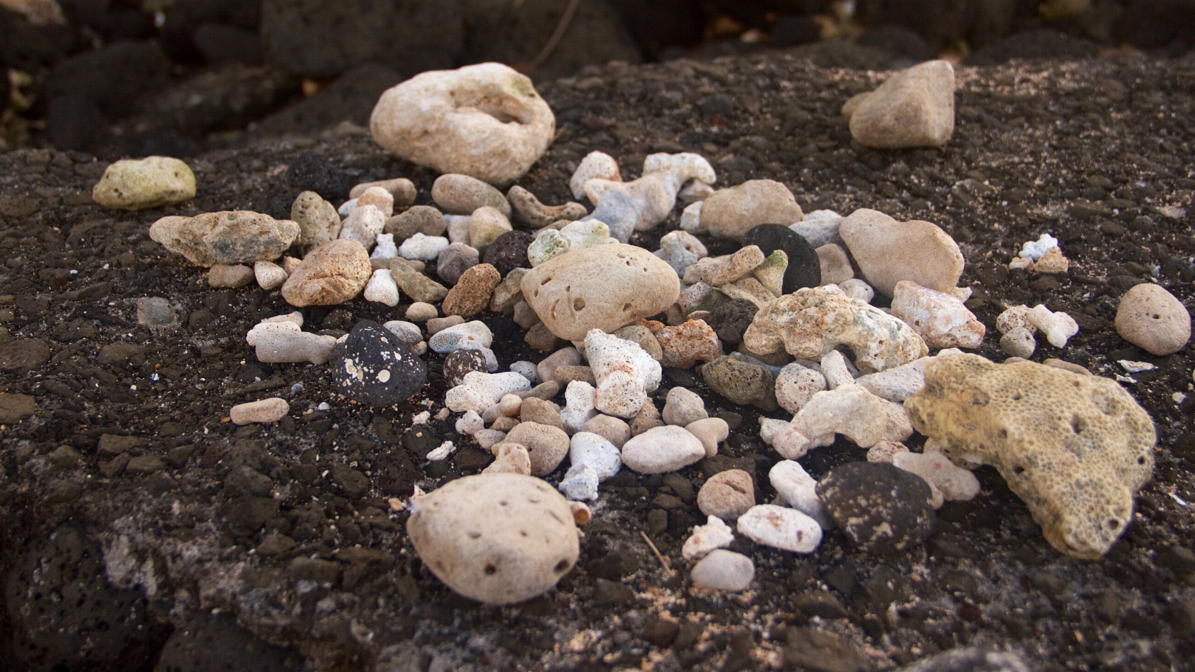 Onekahakaha Beach Park