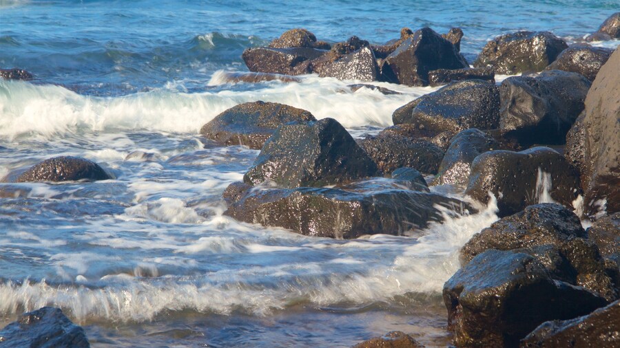 Onekahakaha Beach Park featuring waves, rocky coastline and general coastal views