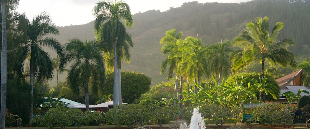 Smith Family Garden Luau featuring a fountain