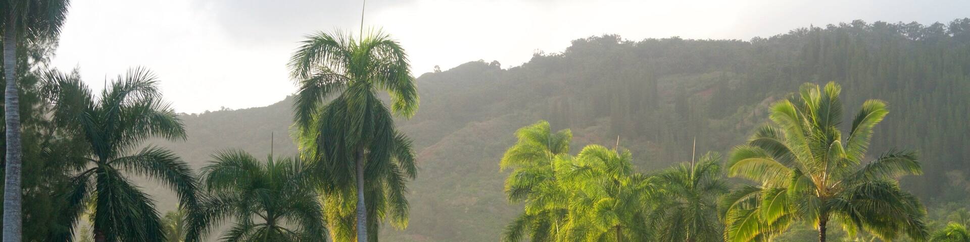 Smith Family Garden Luau featuring a fountain