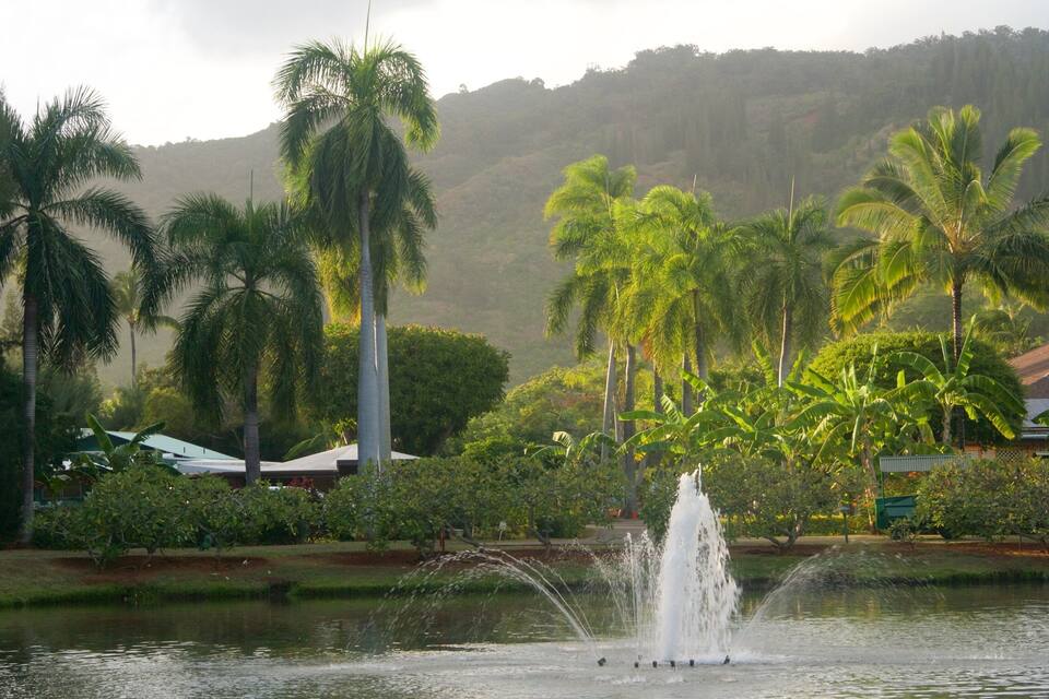 A fountain in a park with palm trees and a house in the background.