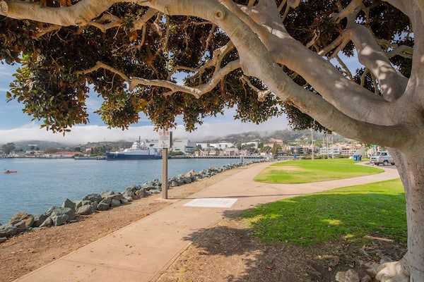 A coastal walkway with a large tree in the foreground, a body of water, a ship, and a cityscape in the background.