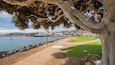 Un paseo marítimo con un gran árbol en primer plano, una masa de agua, un barco y un paisaje urbano al fondo.