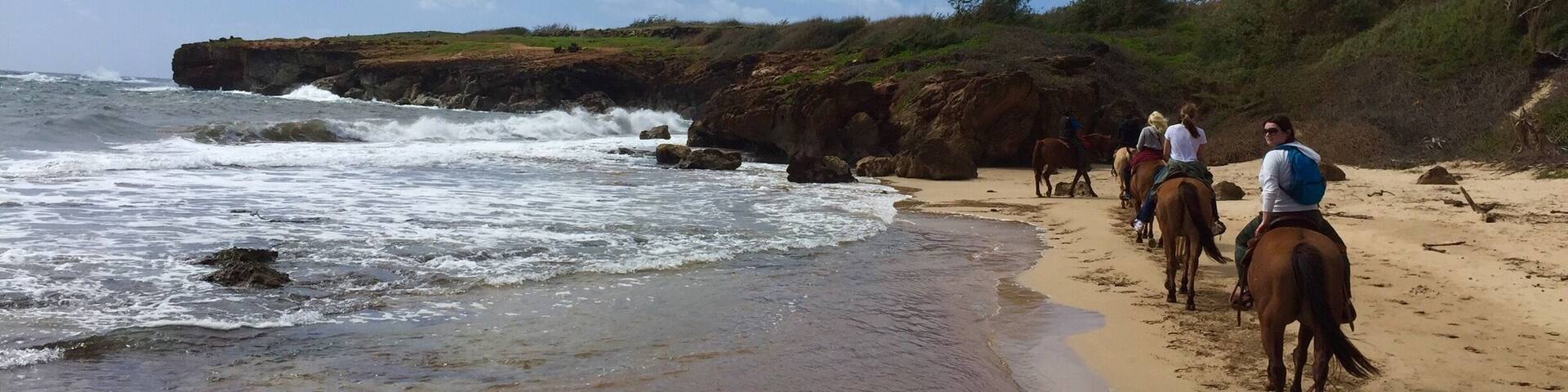 Horseback riding on a south side of Kauai island