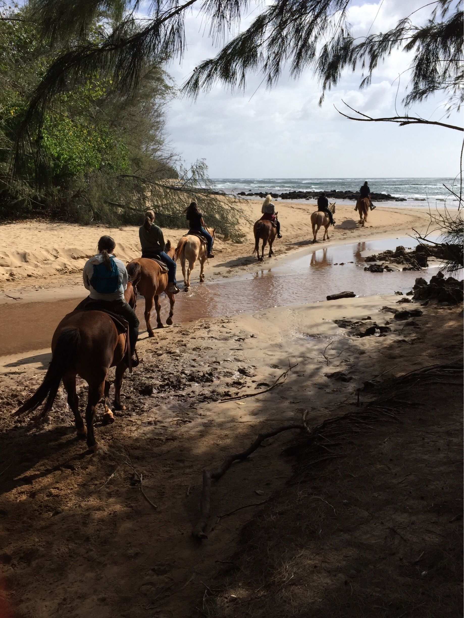 Horseback riding on a south side of Kauai island 