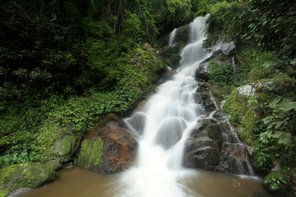 A waterfall cascading over moss-covered rocks in a lush forest.
