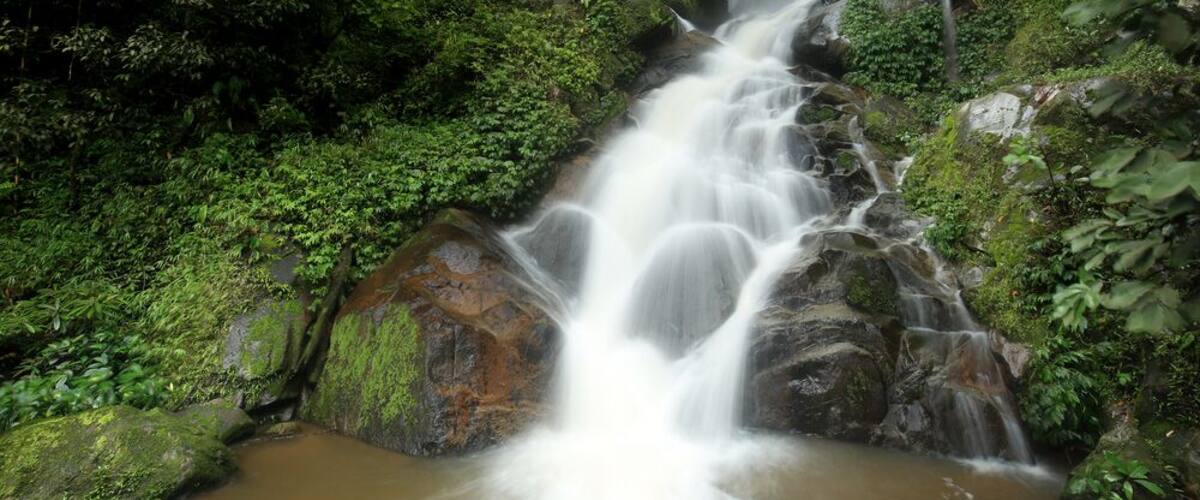 A waterfall cascading over moss-covered rocks in a lush forest.