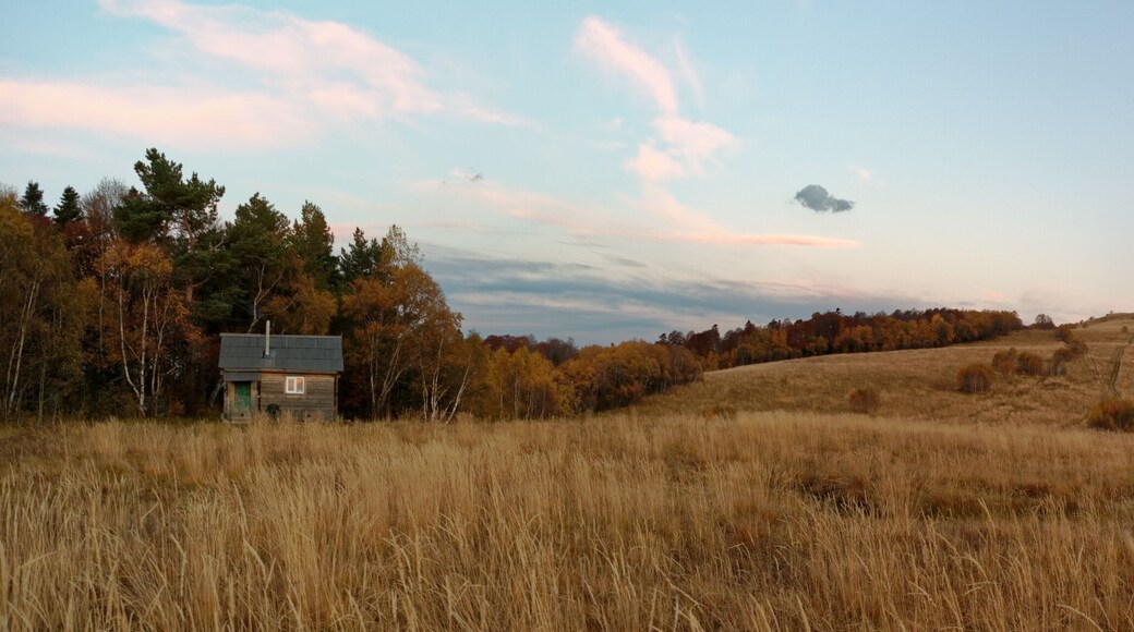 Autumnal subalpine landscape at sunset with snowy mountain peaks, forest, and meadow. Caucasus. Russia. The Caucasian reserve. Pasture Abago