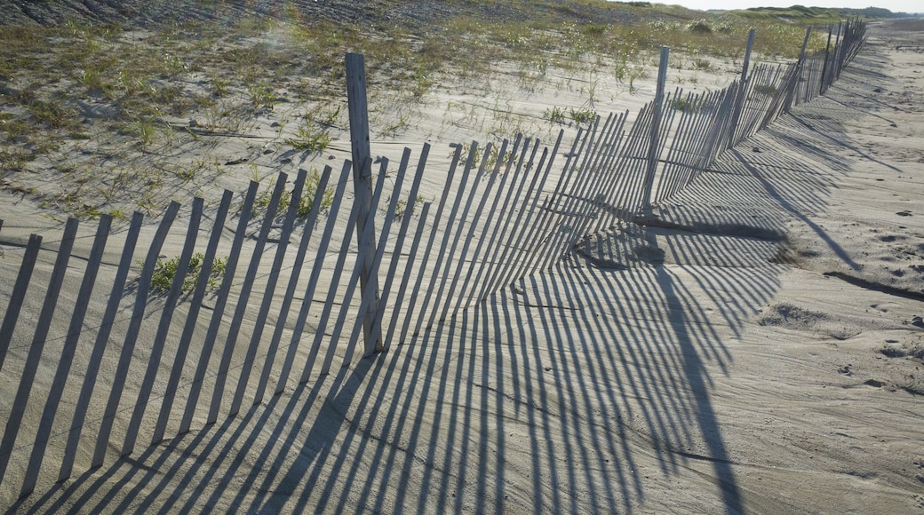 Fence at Sandy Neck Beach Park, Barnstable, Cape Cod, Massachusetts, USA, Shutterstock ID 729172120, purchase_order: SP-1269 HA 2018 Batch 1, Order: , client: , other: