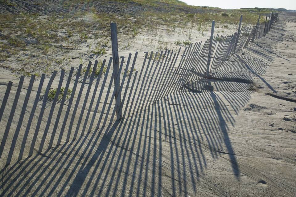 A sandy beach with a wooden fence and shadows of palm leaves.