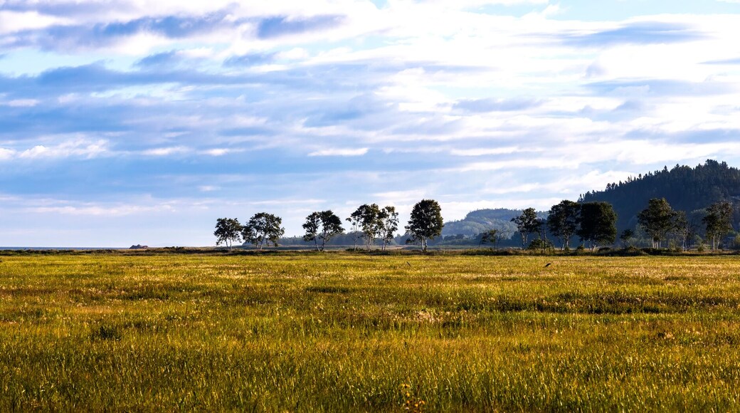 Panoramic view of the landscape along the Saint Lawrence River with grass field in the foreground and a rock formation in the distance; Saint Andre, Kamouraska, Quebec, Canada
