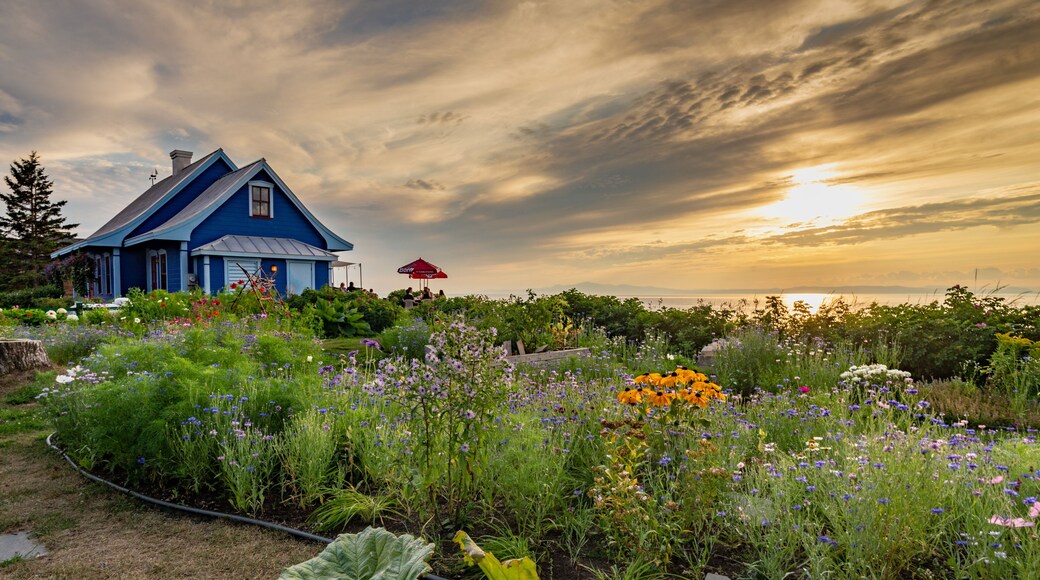 Flower garden in Kamouraska, Quebec