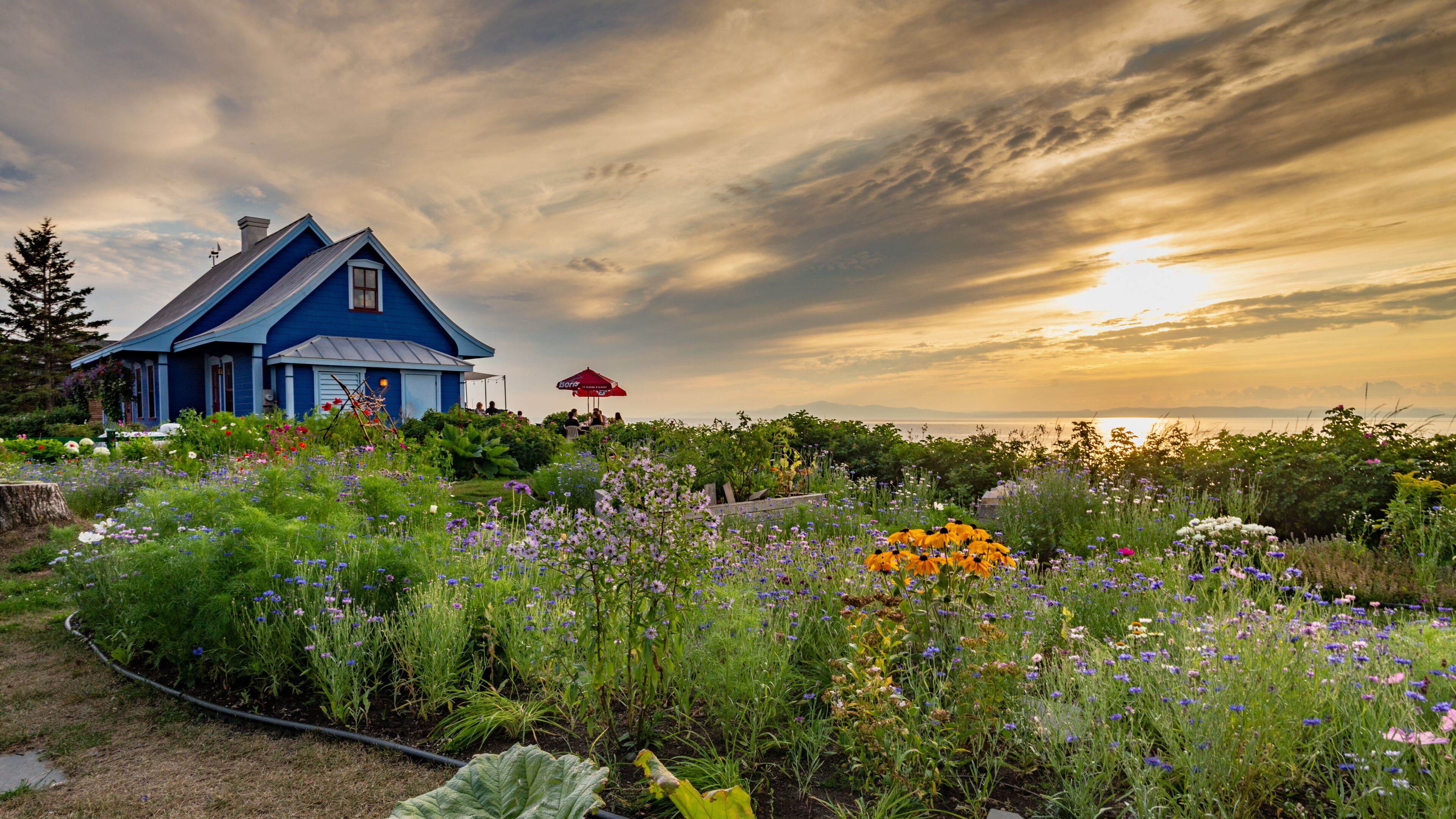 A blue house with a red umbrella, surrounded by a garden with various flowers and a cloudy sky.