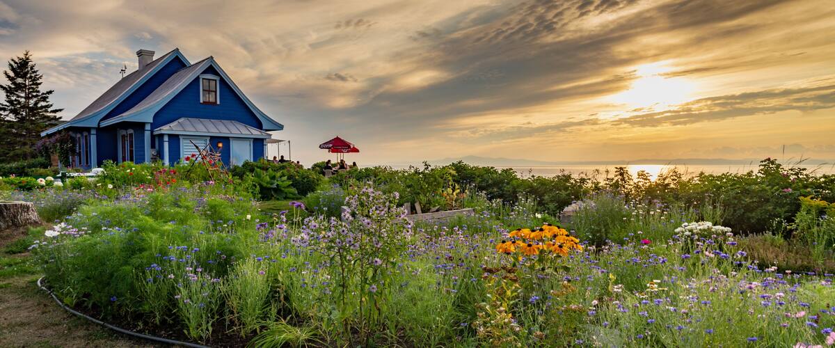 A blue house with a red umbrella, surrounded by a garden with various flowers and a cloudy sky.
