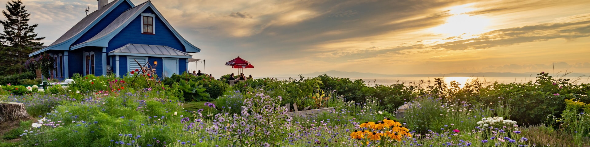 A blue house with a red umbrella, surrounded by a garden with various flowers and a cloudy sky.