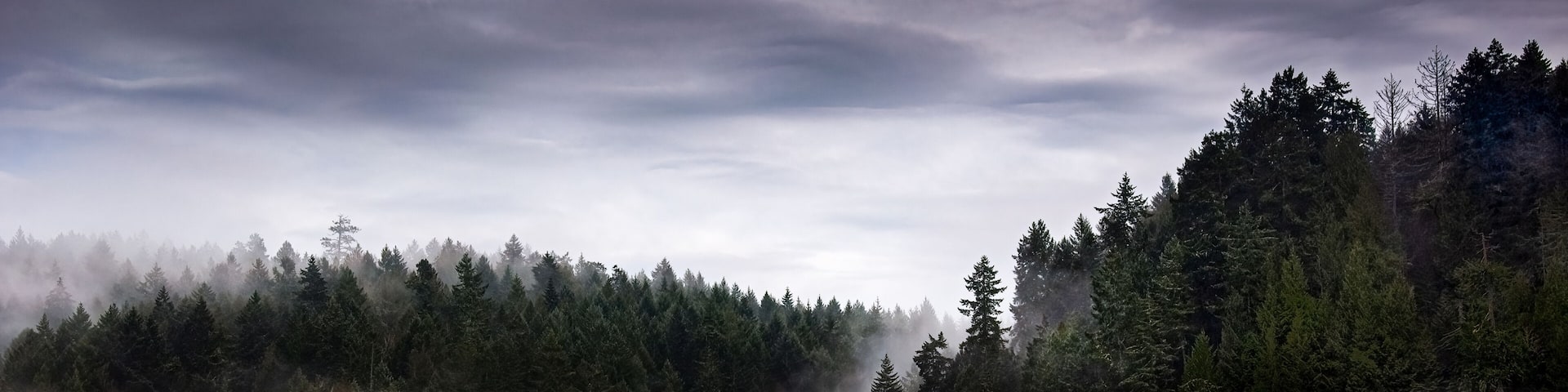 Mist over Remote forest and Lake, Malcolm Island near Vancouver Island, British Columbia, Canada