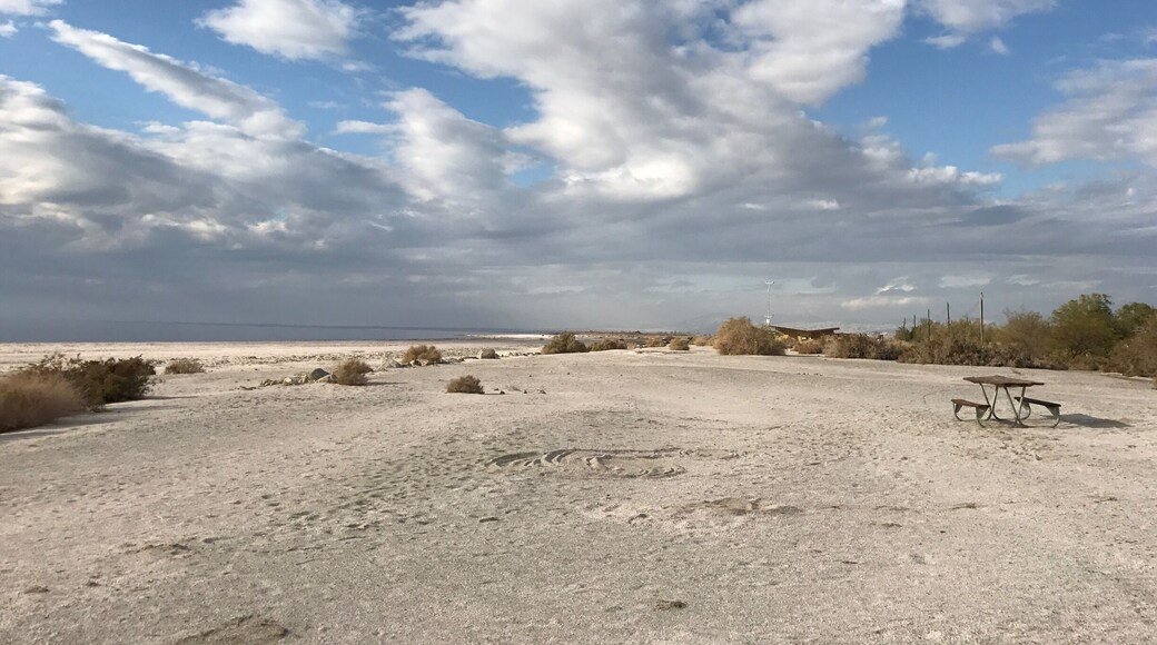I think the Salton Sea still has a lot to offer... #beautiful #saltonsea