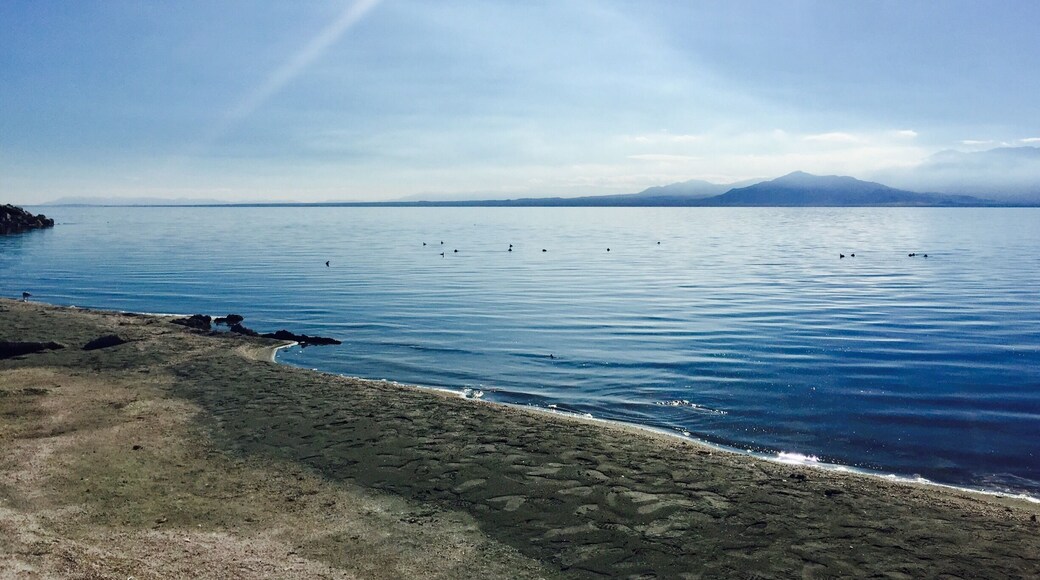 Salton Sea!
#nature