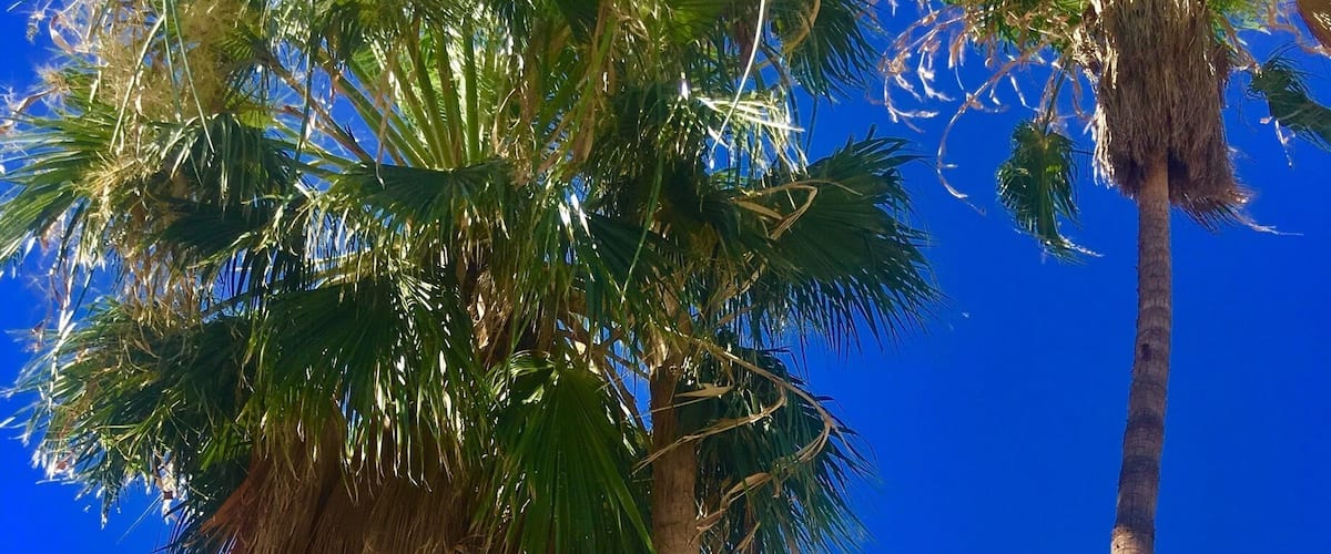 Salton Sea
