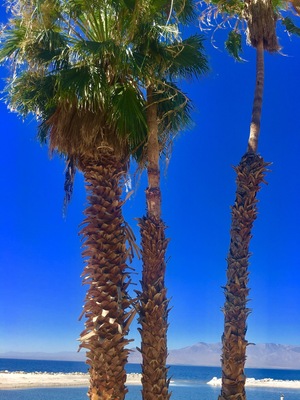 Salton Sea