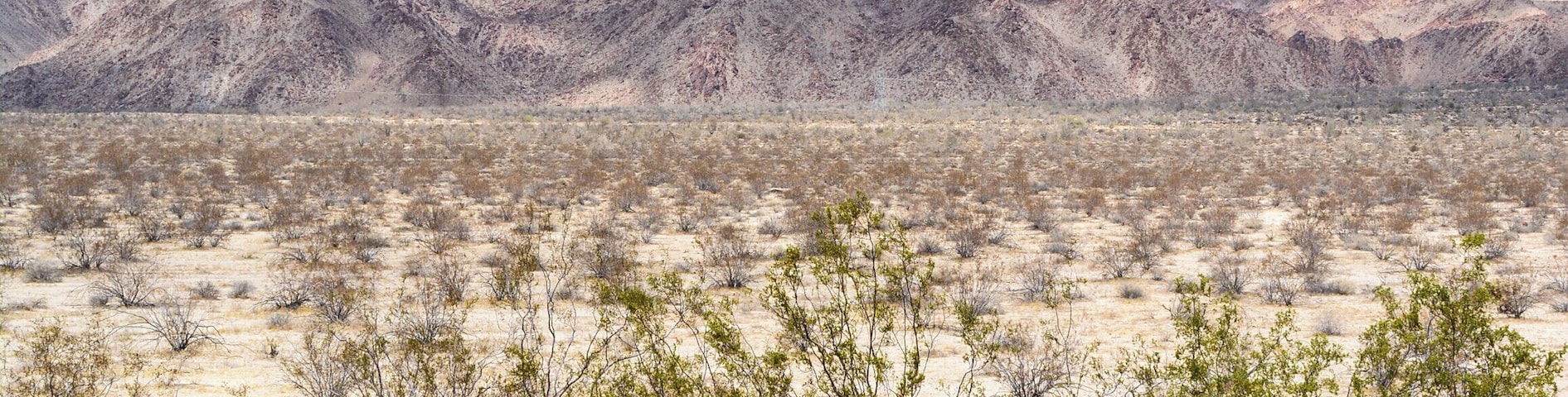 A fun colorful drive ravine through the Mecca Hills at the east end of the Coachella Valley in the southeast corner of the state, 40 miles from Palm Springs
#roadtrip #hot #desert #park #hike #beautiful #peaceful #alone #hike #canyon #explore #nature #view #Mountains
