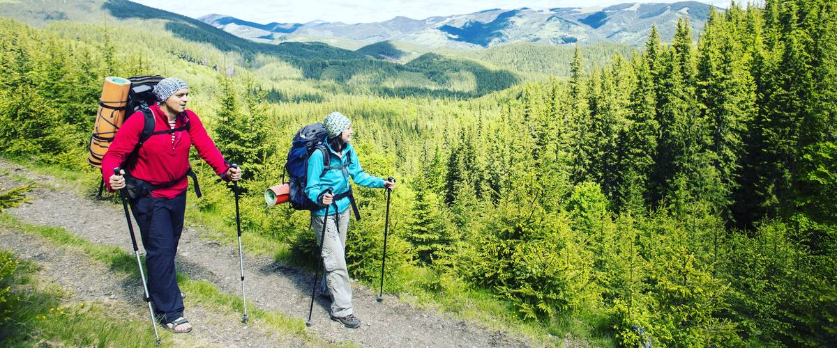 Two hikers on a forested mountain trail with dense coniferous trees and distant mountain ranges under a clear sky.