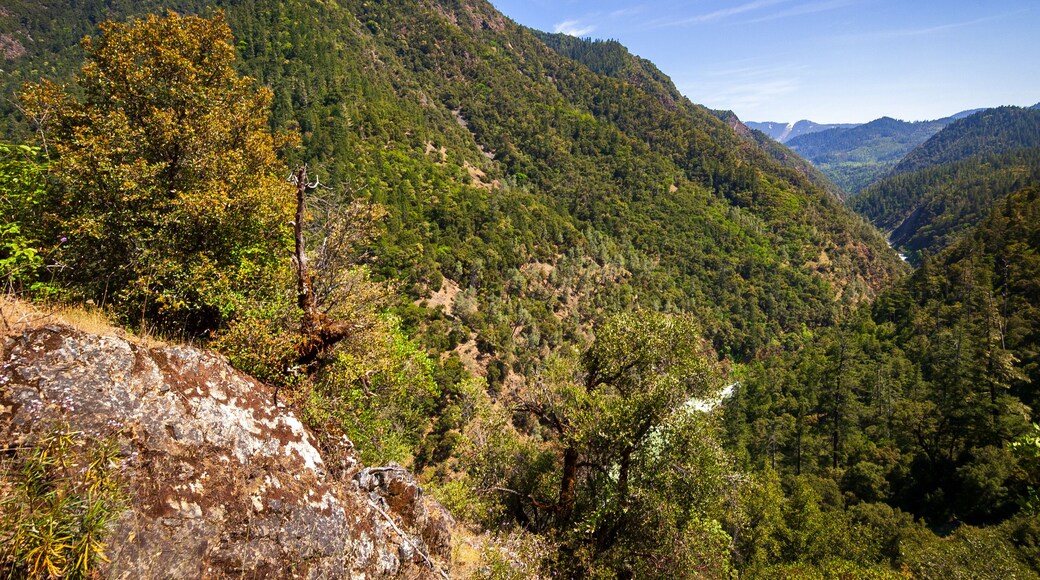 Six Rivers National Forest (Bigfoot Scenic Byway)