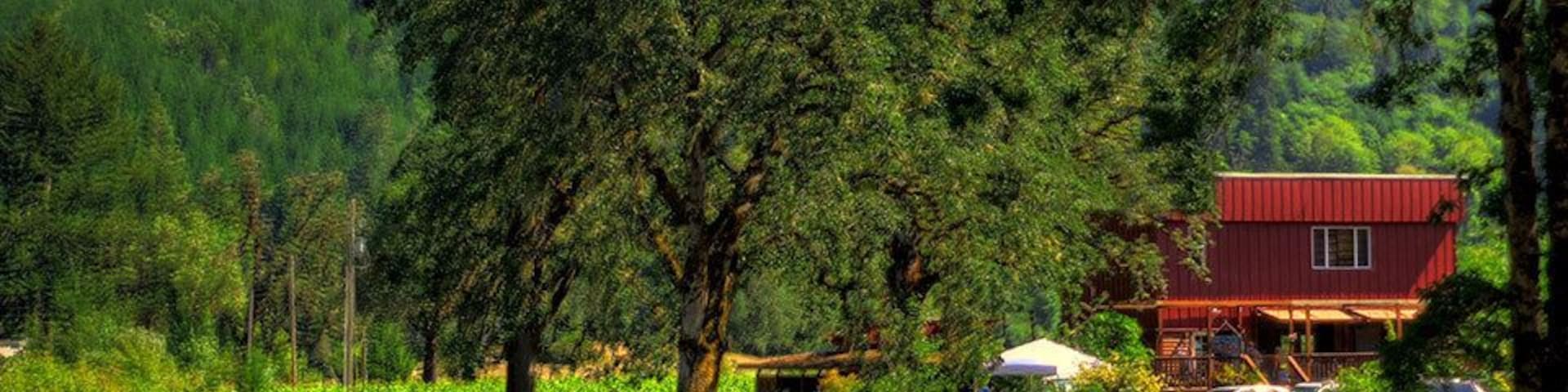 Nice little stop on any Oregon winery tour near Corvallis and Kings Valley.