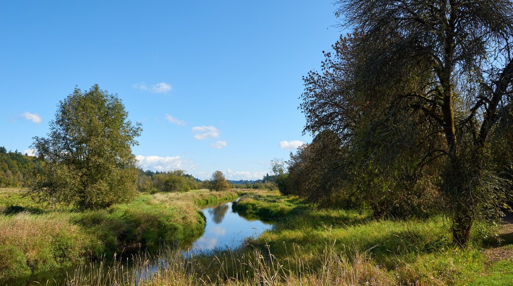 Floodplain of the Salmon Creek near Vancouver city in Washington.