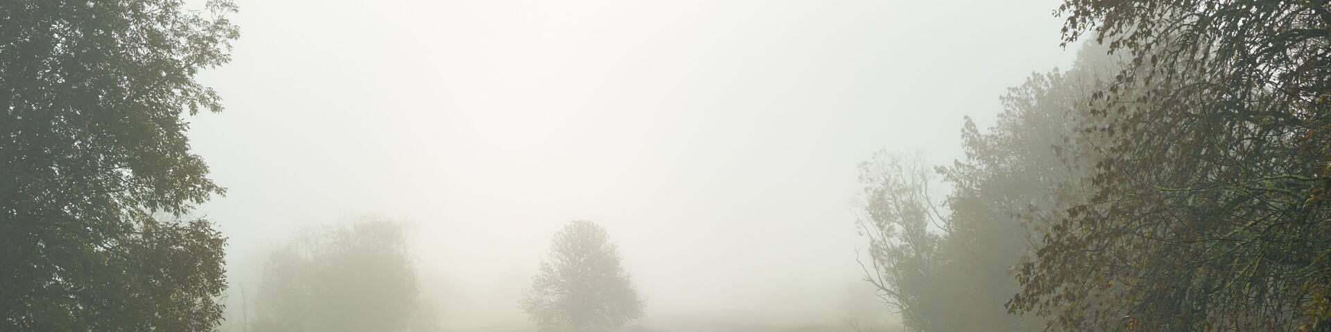 Panoramic misty morning view with Salmon Creek in Vancouver, Washington state.