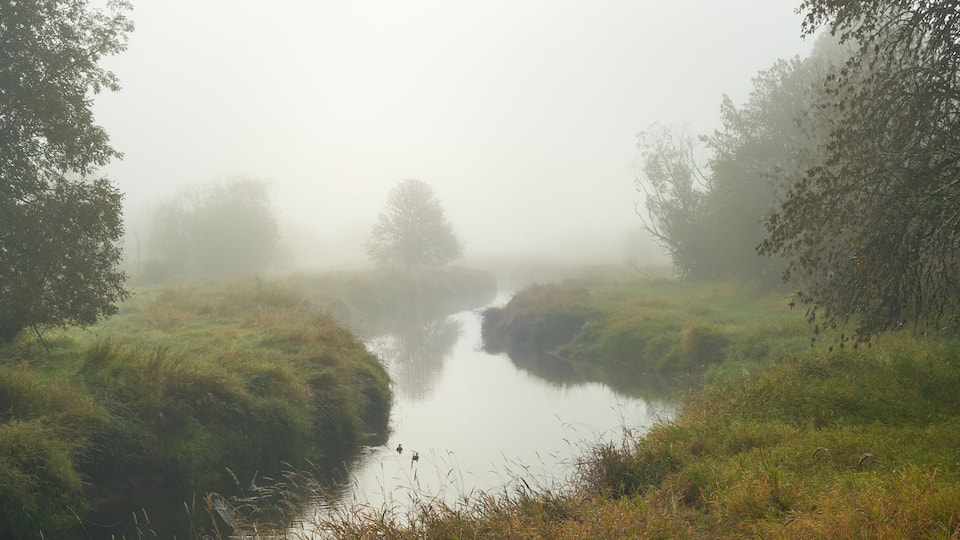 Panoramic misty morning view with Salmon Creek in Vancouver, Washington state.