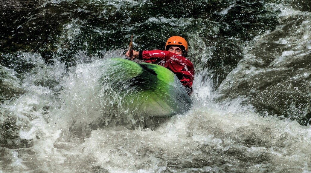 Along the Elora Gorge trail. A beautiful trail and river that runs past a quaint village with several artisan shops.