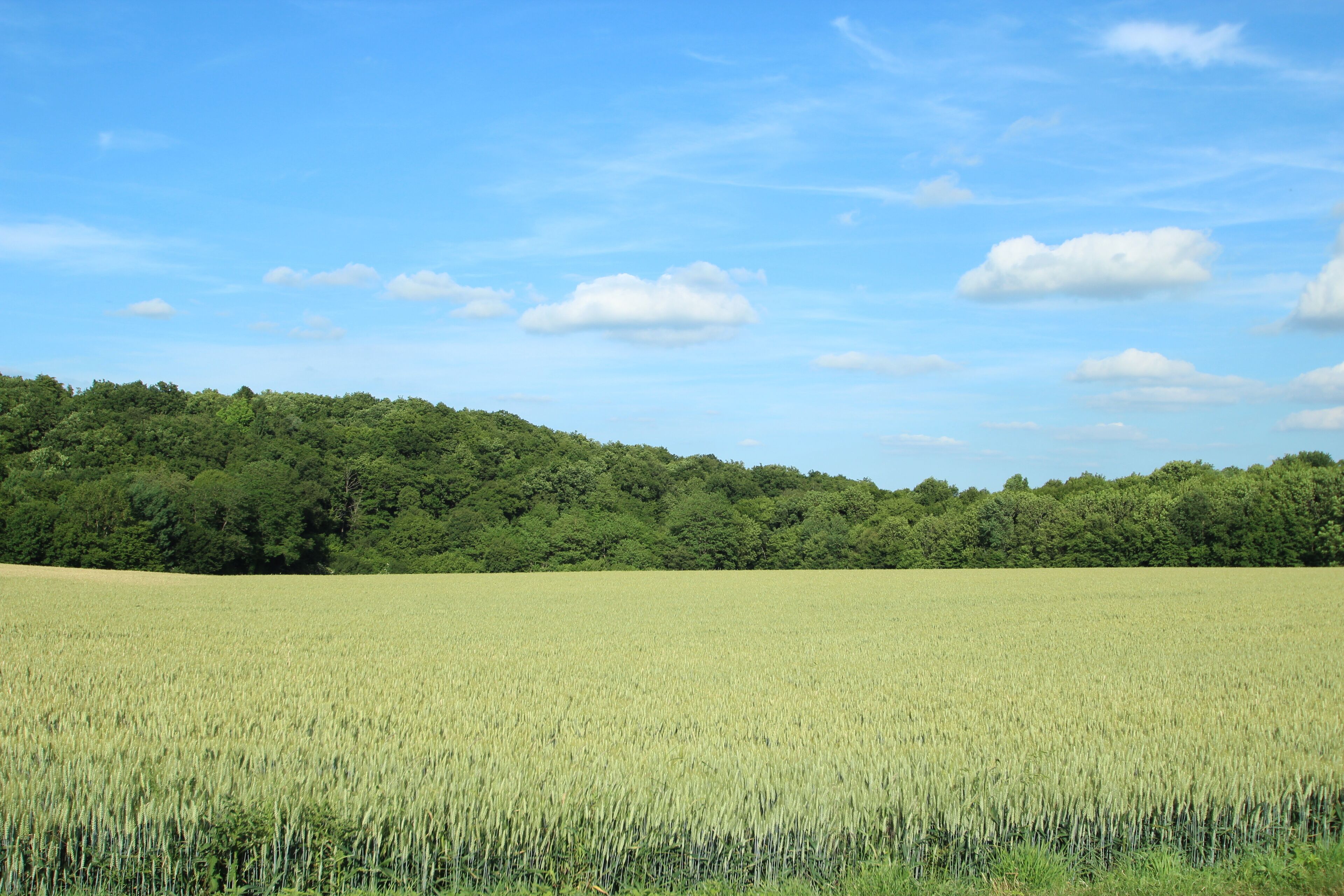 This picture as been uploaded as part of L'Été des régions Wikipédia.