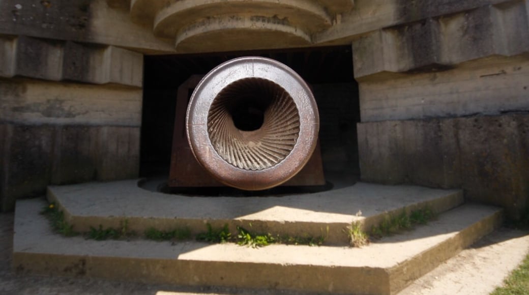 The latest anti-aircraft gun from World War 2 in France. The sun was shining in the middle of the barrel ....