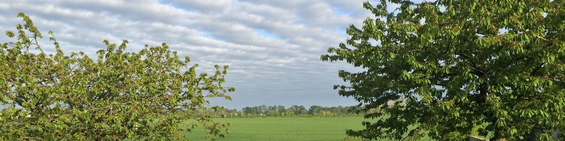 View from our room. This bed and breakfast is inside a past French farmhouse. Beautiful view of the French countryside, updated rooms, friendly staff, and great breakfast. Highly recommend for a place to stay while visiting the D day beaches sites.