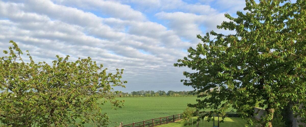 A grassy backyard with a swing set, a wooden fence, and a view of a green field.