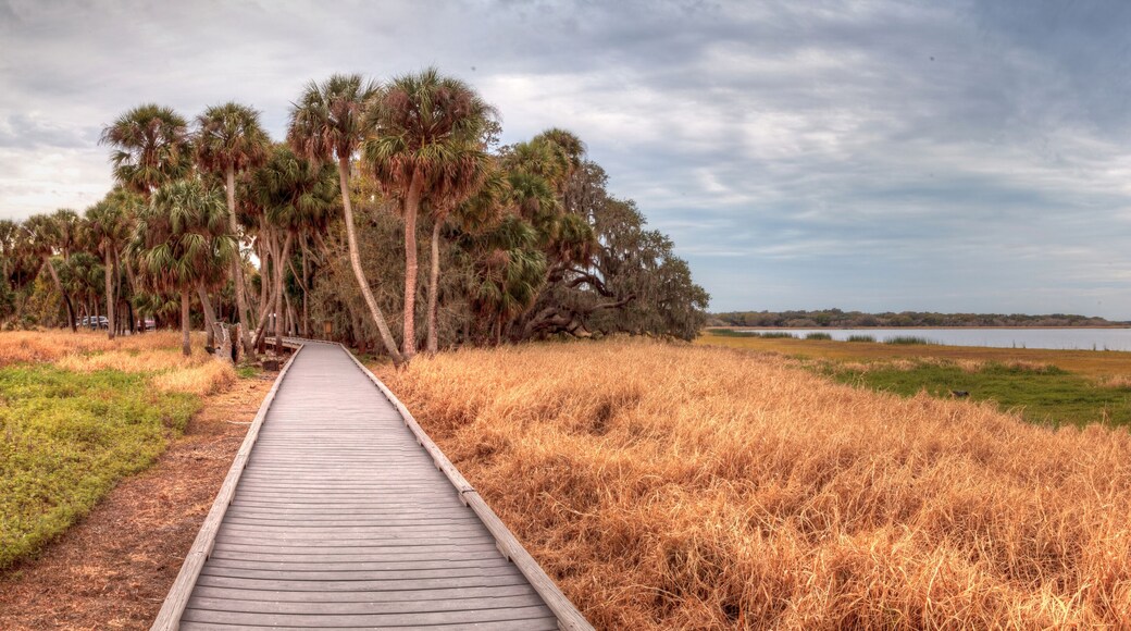 Boardwalk along the wetland and marsh at the Myakka River State Park