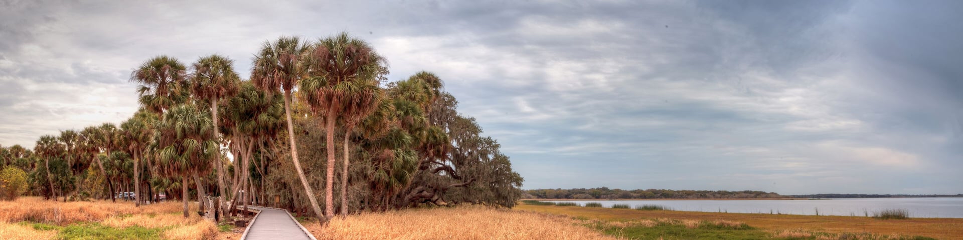 Boardwalk along the wetland and marsh at the Myakka River State Park