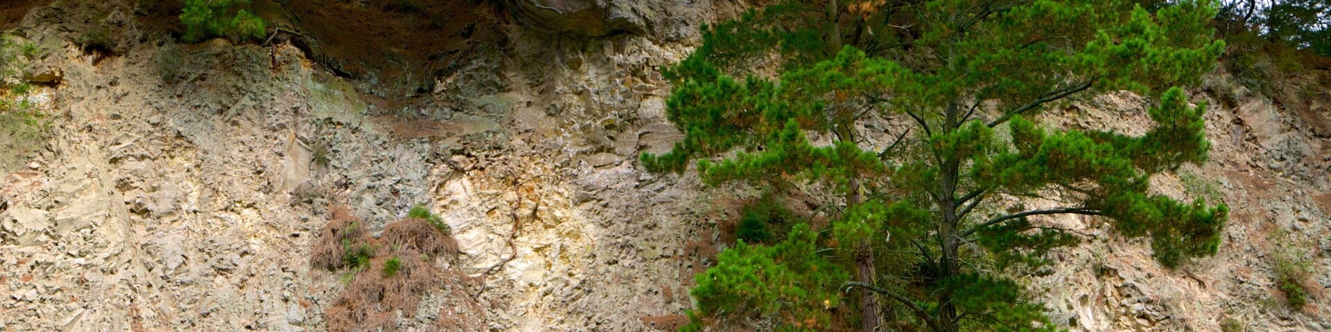 Cueva y parque geotérmico de Orakei Korako ofreciendo bosques