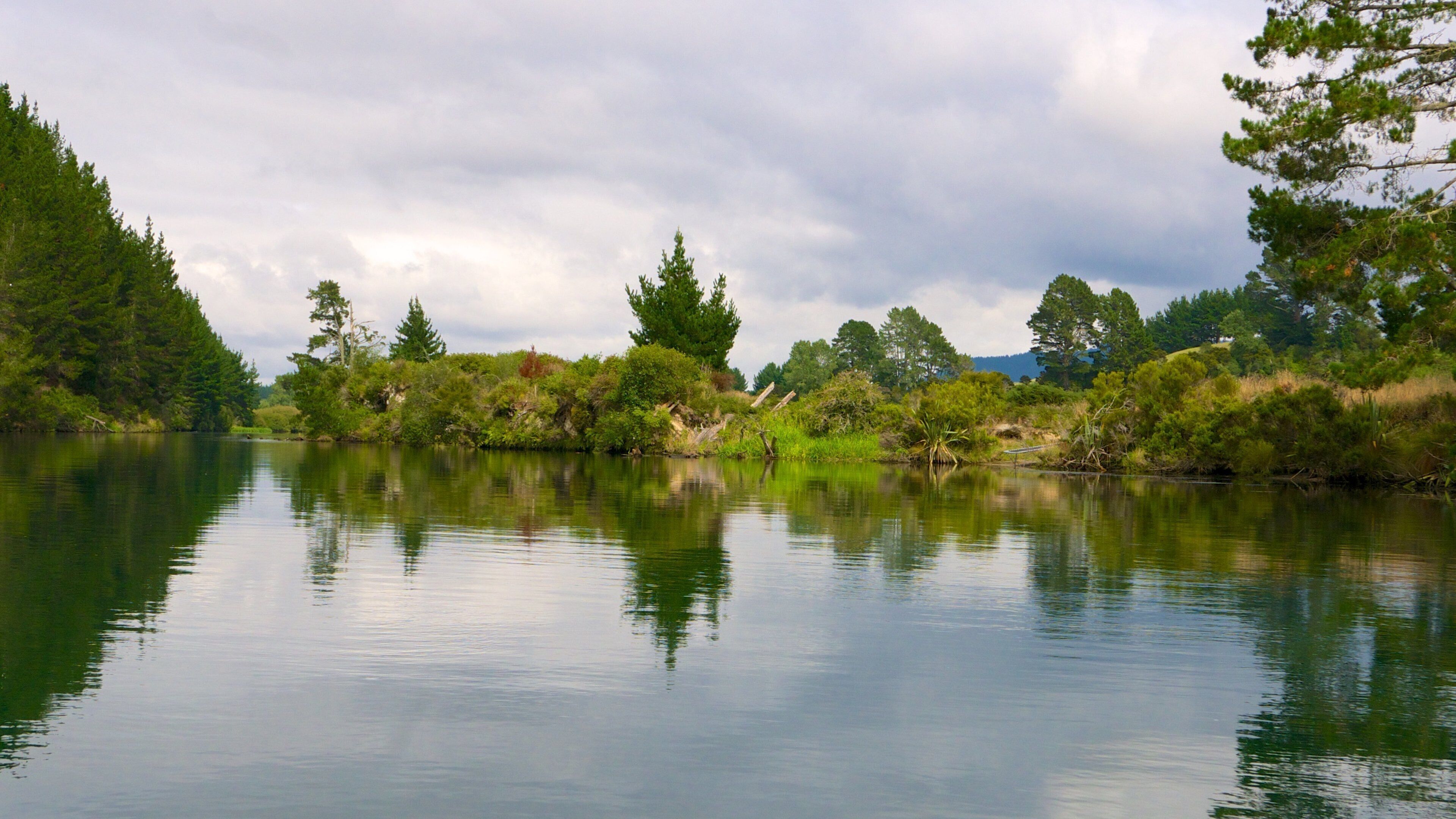 奧拉基科拉科地熱公園及洞穴 设有 森林 和 河流或小溪
