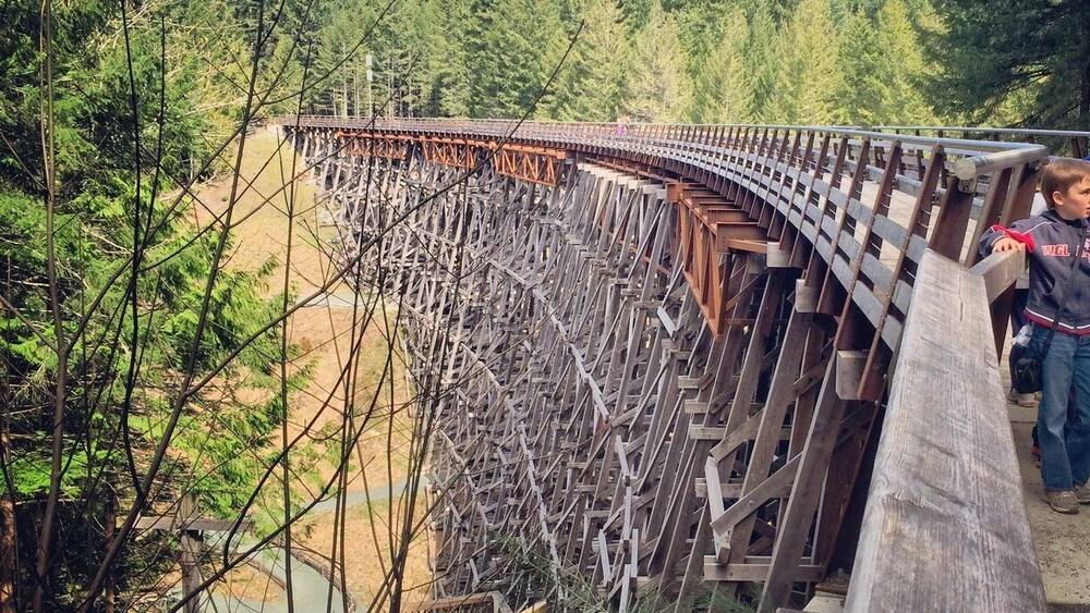 Eine Holzbrücke in einem Wald.