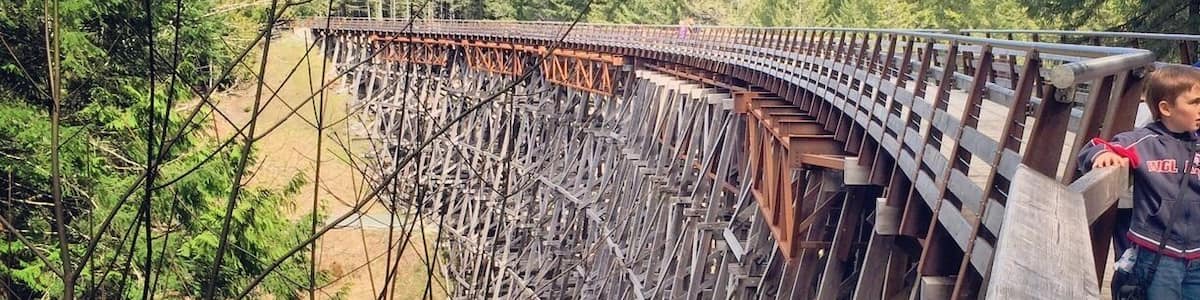Eine Holzbrücke in einem Wald.