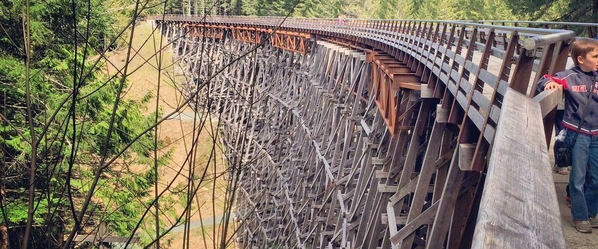 Kinsol Trestle.
Recently Rebuilt for human access (as opposed to trains).
Completed in 1920, its dimensions measure 44 m (144 ft) high and 188 m (617 ft) long, making it the largest wooden trestle in the Commonwealth and one of the highest railway trestles in the world.