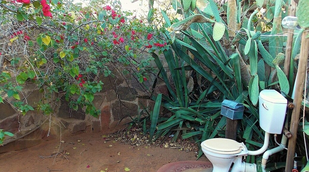 Camp Itumela is a small campsite in Botswana close to the border of South Africa. Their toilet is a little gem, hidden between the cactus plants and red flowers, exposed to the open air. It gives a whole different meaning to going to the toilet #localgem