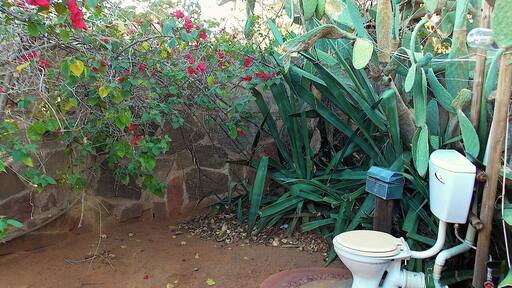 Camp Itumela is a small campsite in Botswana close to the border of South Africa. Their toilet is a little gem, hidden between the cactus plants and red flowers, exposed to the open air. It gives a whole different meaning to going to the toilet #localgem